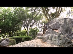 کفش ایمنی تاکتیکی