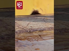 چکمه های کاری امنیتی